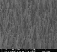 Пример применения ПХО: Массив углеродных нанотрубок, выращенных на металлических катализаторах